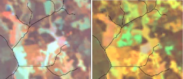 Figur 7a. Landsat TM 1989-07-07                            Figur 7b Landsat TM 2001-07-25