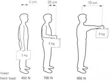 Figur 3 - Illustration på hur vikter och rörelser påverkar stressen kroppen utsätts för