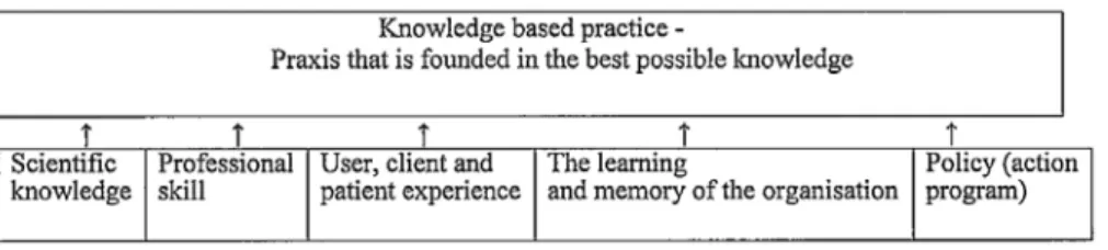 Figure 1. A model for a knowledge based practice (Renblad, 2005).