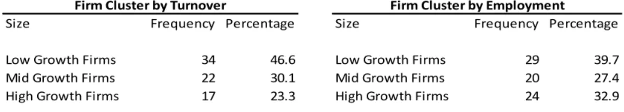 Table 3: Firm Cluster by Turnover &amp; Employee Growth Rate 