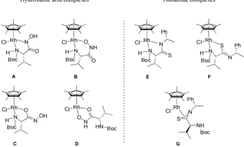 Figure 2. Potential coordination modes for the hydroxamic acid and thioamide to  [RhCp*Cl 2 ] 2 , respectively