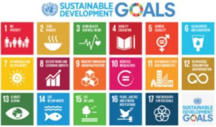Figur  3 UN sustainable development goals (United Nations, 2020). 