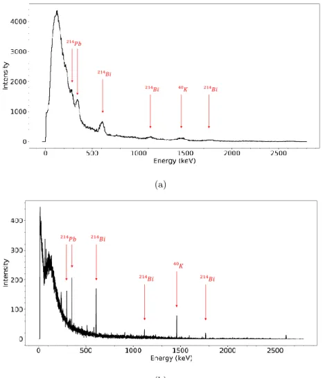 Figure 2: Typical background spectrum from a 1 hour measurement of the filter by (a) the NaI(Tl) detector and (b) the HPGe detector