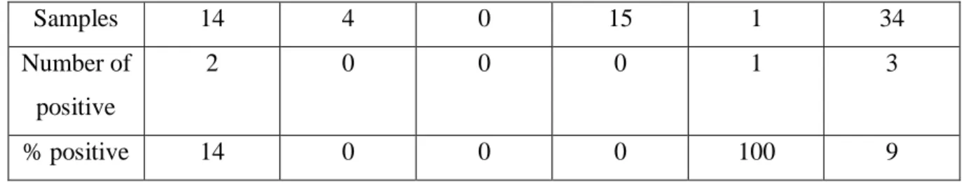 Figure 1. Five curves of the positive controls used in the real-time RT-PCR for influenza D