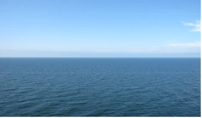 Figure 2. The shortest distance to the mainland, view from Stora Karlsö heading west. Photograph by H