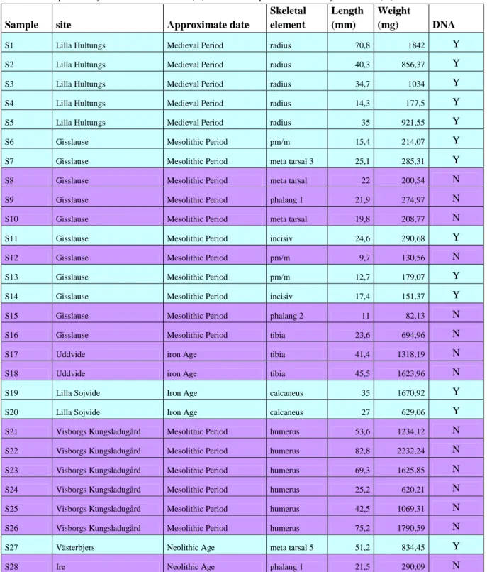 Table 2. Samples that yielded DNA marked (Y) and the samples that did not yield DNA (N)