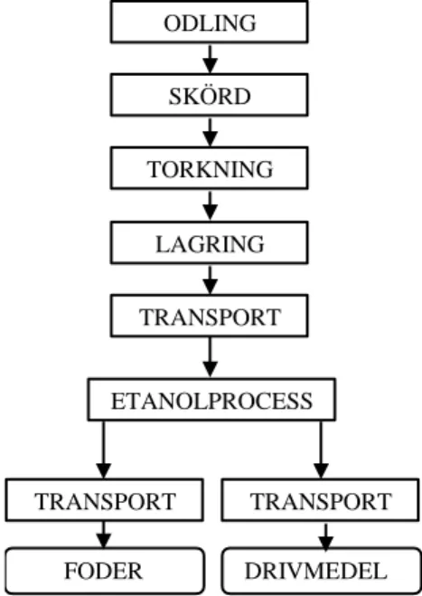 Figur 2. Schematisk bild av systemet för produktion av etanol från spannmål till Otto- och  dieselmotorer