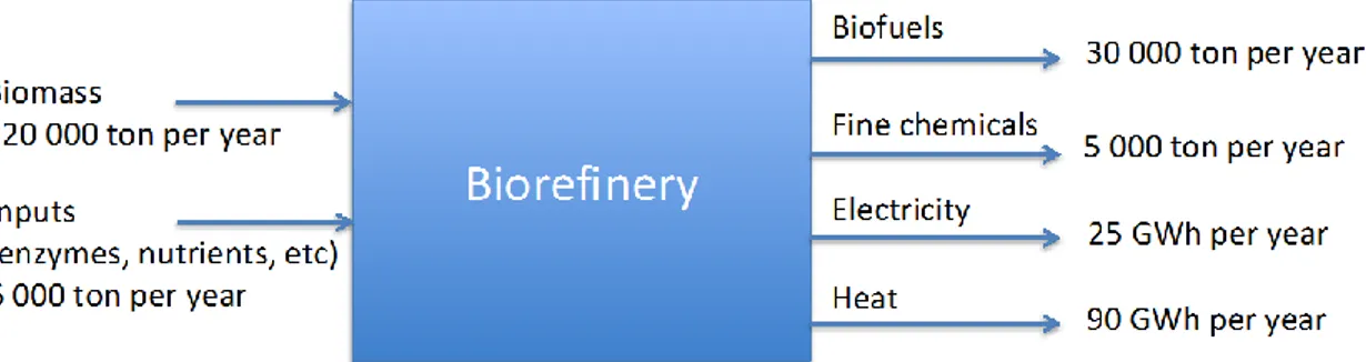 Figure 6.1. Example of a generic biorefinery. The biorefinery is assumed to be energy self-sufficient, i.e