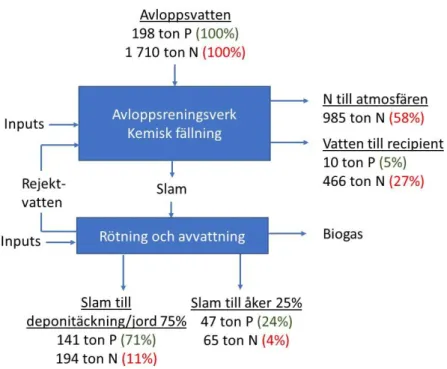 Figur 1. Schematisk bild av årliga näringsflöden i referensanläggningen, siffror i procent anger andel  av N och P i förhållande till inkommande mängd med avloppsvatten