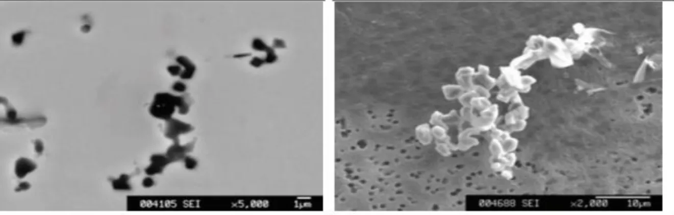Figure 10: Both images shows a cluster of inclusions. Picture 1 shows a cross section of the metal sample, picture 2 shows  the cluster after electrolytic extraction onto a film filter [31]