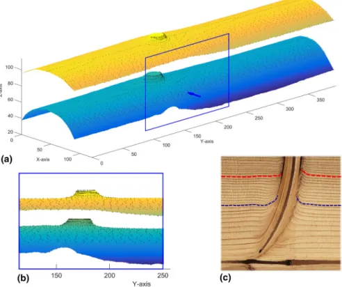 Figure 8c shows a surface image in which the two growth layers can be identified.