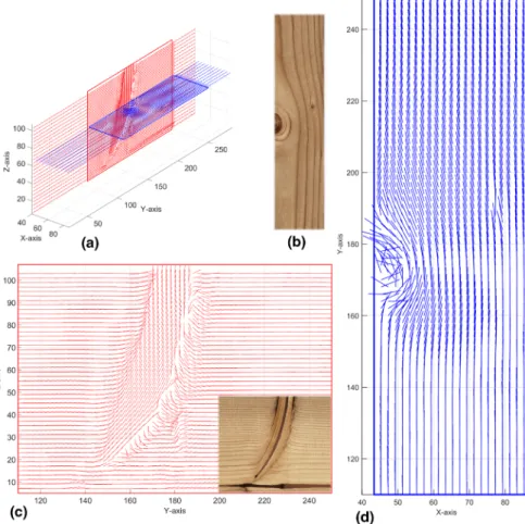 Fig. 9 Identified in-plane fibre orientation from laser scanning of two wood surfaces, A1 and B1 (cf.