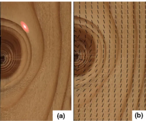 Fig. 2 a An elliptically shaped light spot on a wood surface that is illuminated locally by laser rays, and b determined in-plane fibre direction field on a wood surface