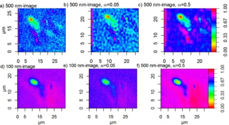 Figure 9. Normalized images of PC2, i.e., score values ranging from 0 to 1. (a) 500 nm image; (b) 500  nm  image  treated  with  super-resolution  algorithm,  α  =  0.05;  (c)  500  nm  image  treated  with  super-resolution,  α  =  0.5;  (d)  100  nm  ima