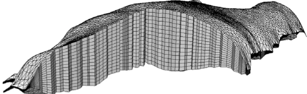 Figure 4.1. A cross section of an extruded mesh on the Greenland Ice Sheet consisting of 162 000 prismatic elements, created by extruding a triangular footprint mesh into 15 layers