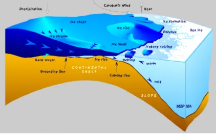 Figure 1: An ice sheet flowing outwards to the ocean and forming an ice shelf. In the ice sheet there is an ice stream, where the ice flows faster