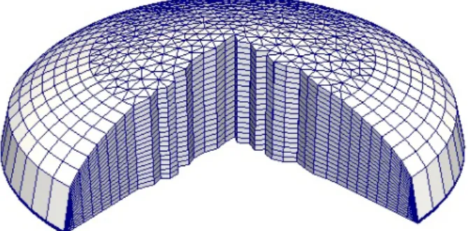 Figure 2: An extruded, 3D mesh on a circular ice sheet, with 17860 nodes, distributed in 20 vertical layers