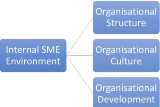 Figure 3 - Sub-themes of Internal SME Environment 
