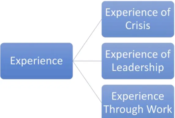 Figure 6 - Sub-themes of Experience 