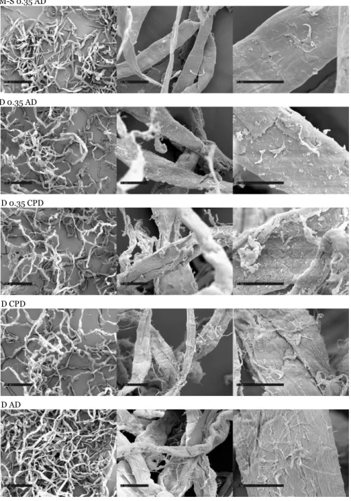 Figure 4. Scanning electron micrographs of wood pulps. Scales correspond to 200, 20, and  10  µm