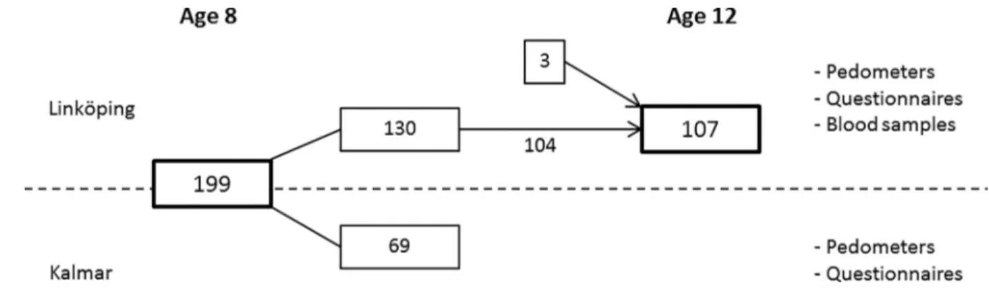 Fig 1. Flow chart describing the participation in the longitudinal follow-up.