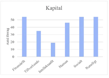 Diagram 1 – Kapital 