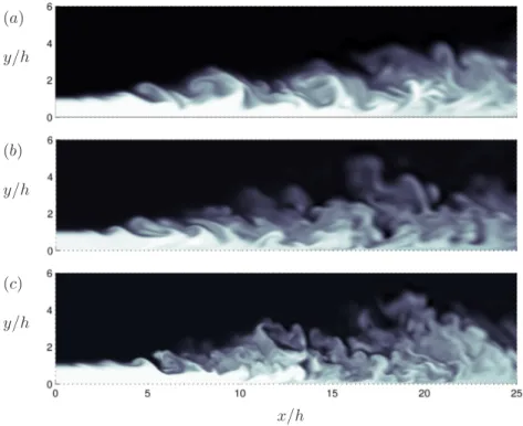 Figure 3.5. Snapshots of the passive scalar concentration θ/Θ j in the cold (a), isothermal (b) and warm jet (c) in the simulations of Ahlman et al