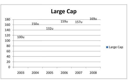 Table 5.1: The development of the CEO compensation 