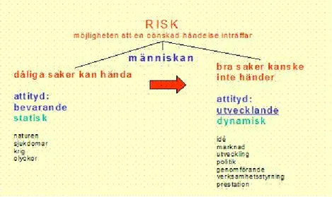 Figur 8: Statisk och dynamisk riskhantering (24) 