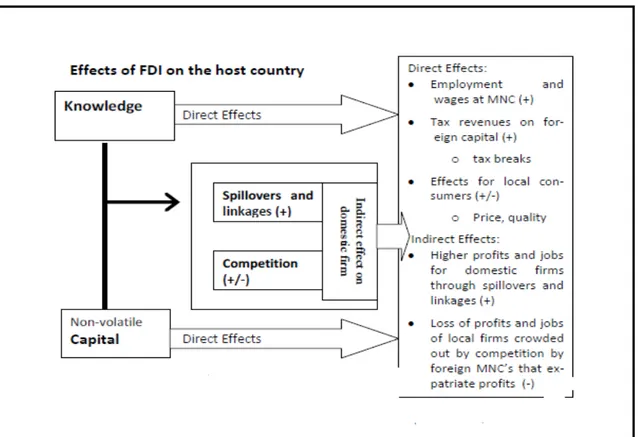 Figure 1: Effects of FDI on host country 