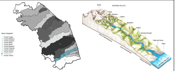 Figura 1. Il sistema “a pettine” marchigiano e uno schema raffigurante una valle “tipo”