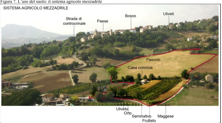 Figura 7. L’uso del suolo: il sistema agricolo mezzadrile