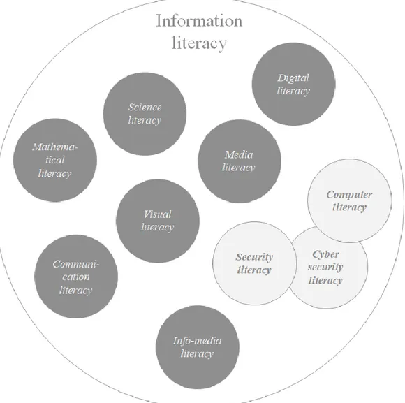 Figure 1 - Types of literacies 