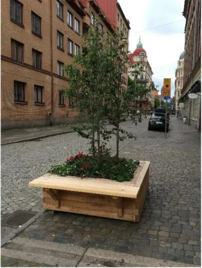 Figur 11. Mindre plantering av träd och lägre vegetation i flyttbara krukor kan påverka stadsbilden  stort, men kan samtidigt enkelt flyttas om de blir för stora för sin placering (Linnestaden, Göteborg,  foto: Janhäll 2015)