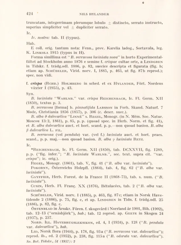 P okorny ,  Österreichs Holzpfl. (1864), tab. 4, fig. 62 (“B. alba var. 