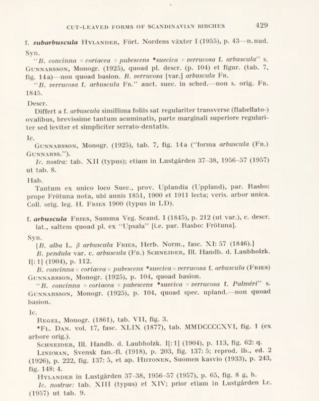 G unnarsson ,  Monogr. (1925), tab. 7, fig. 14a (“forma arbuscula  (F r .)  G unnarss .”).