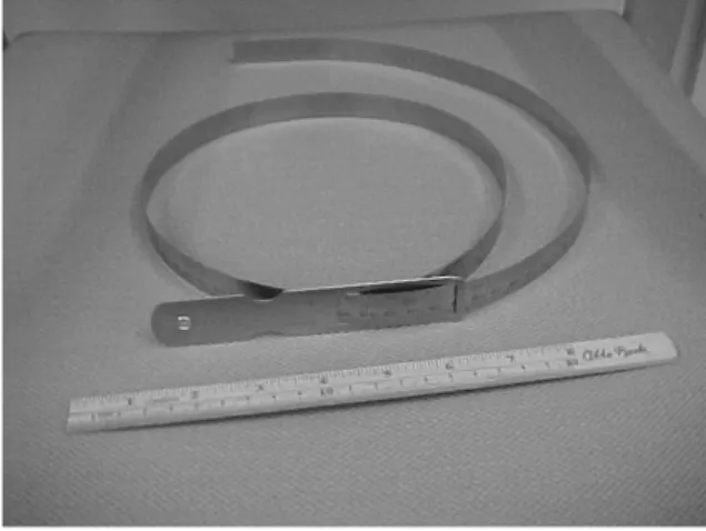 Figure 8. Metal circumference rule and wooden rule. 