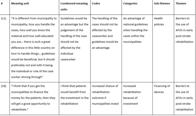 Table 2. Table with examples of data analysis and coding 