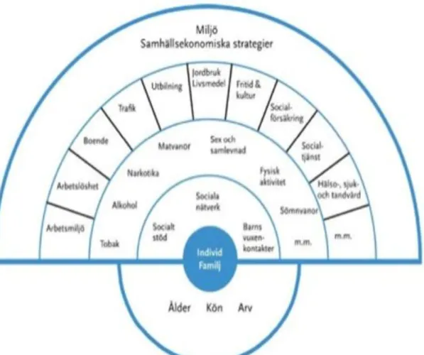 Figur 2 visar faktorer som har inverkan på hälsan enligt modell av Marmot &amp; Wilkinson (1999)