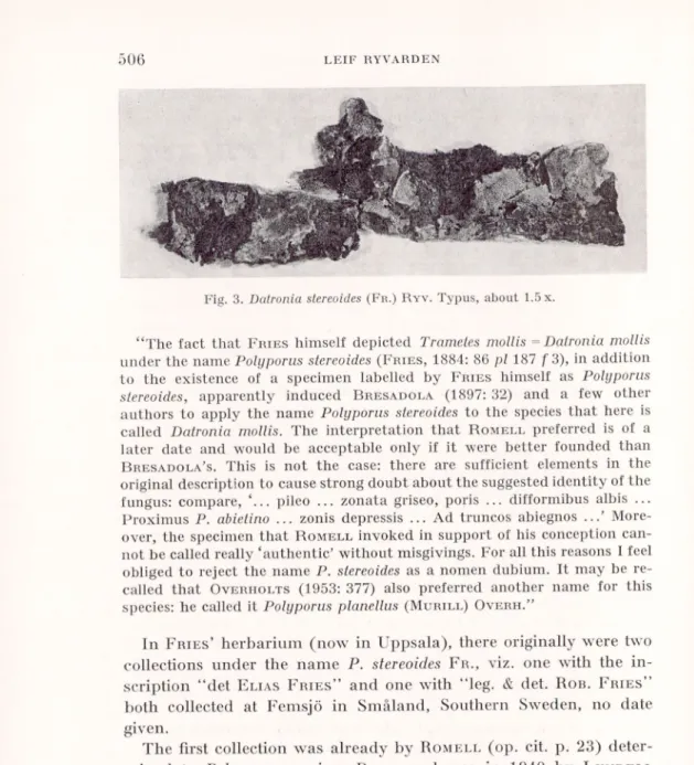 Fig. 3. Dalronia stereoides (F r .) R yv . Typus, about 1.5 x.