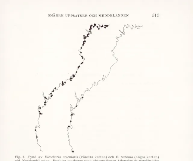 Fig. 1. Fynd av Eleocharis acicularis (vänstra kartan) och E. parvula (högra kartan)  vid Norrlandskusten