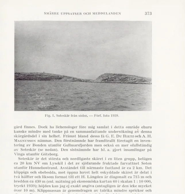 Fig. 1. Soteskär från söder. —■ Förf. foto 1939.