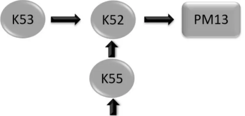 Figur 4.6: Förenkling av flödet från Kar 53 och Kar 55 in till PM13 