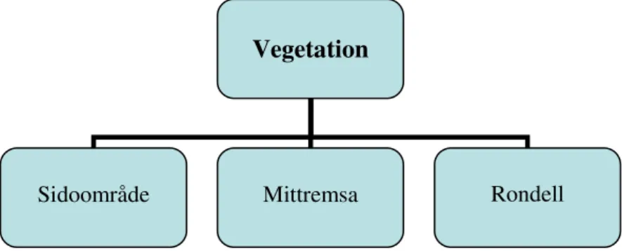 Figur 14. Problemområden inom vegetation. 