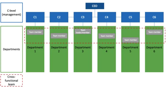 Figure 3.3.1: Mock figure - illustrating the company structure and the members of the cross- cross-functional team