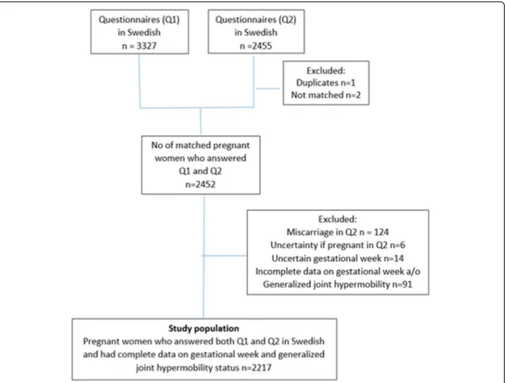 Fig. 1 Data management of the Swedish questionnaires