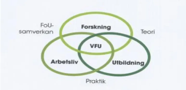 Figur 1:  Policy ”Verksamhetsförlagd utbildning(VFU) vid Högskolan Kristianstad (2015a)