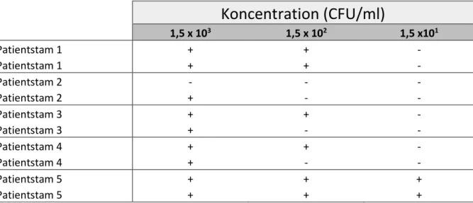 Tabell III. Odlingsresultat från dubbelprov med pinne från TH-buljong av patientstammarna  1-5 med koncentrationerna 1,5 x 10 3  - 1,5 x 10 1  CFU/ml