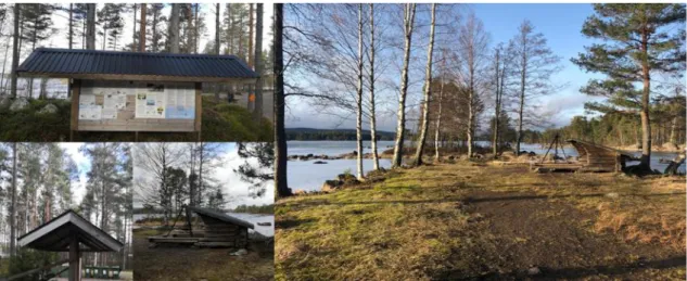 Figur 7 Testplatsen från Glaskogens Naturreservat, Bild: Albin Ahlsten Andersson 