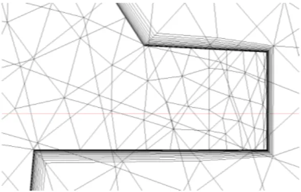 Figure 18: The prism layer in the aft of the hull.